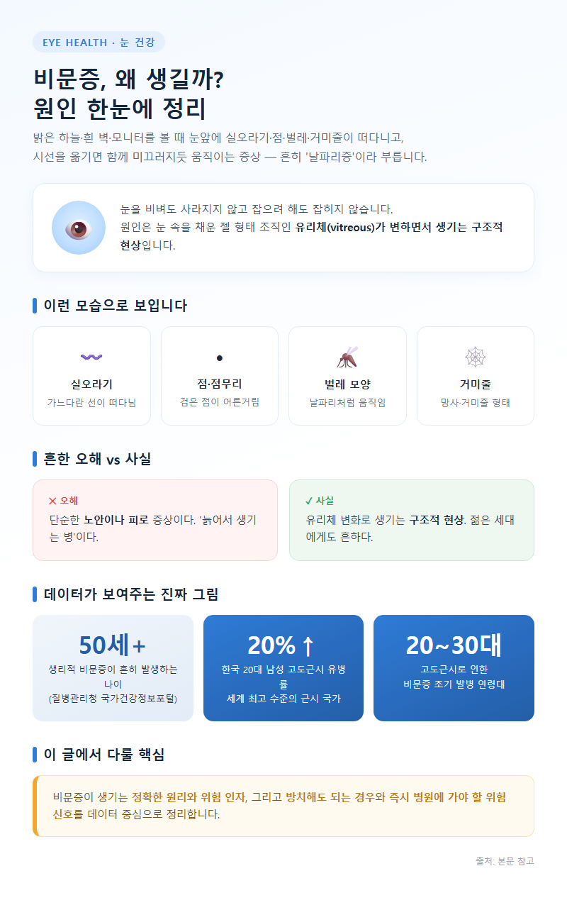 비문증 원인 개요