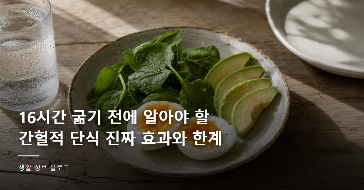 16시간 굶기 전에 알아야 할 간헐적 단식 진짜 효과와 한계
