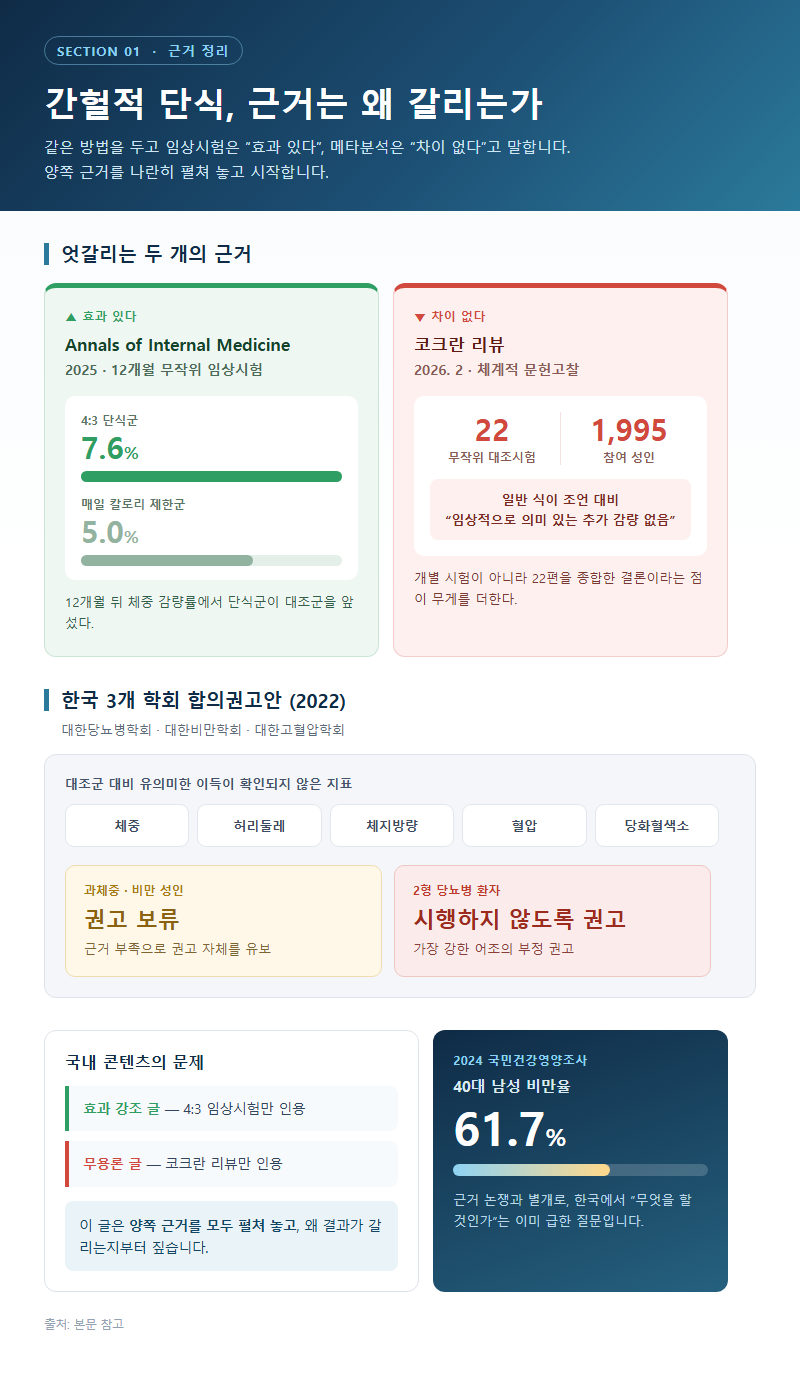 간헐적단식효과 개요