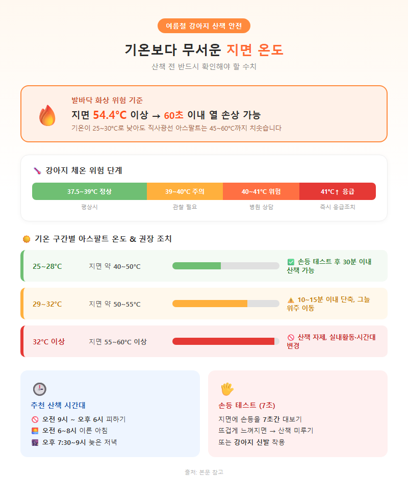 1. 기온보다 무서운 지면 온도 — 산책 전 반드시 확인해야 할 수치