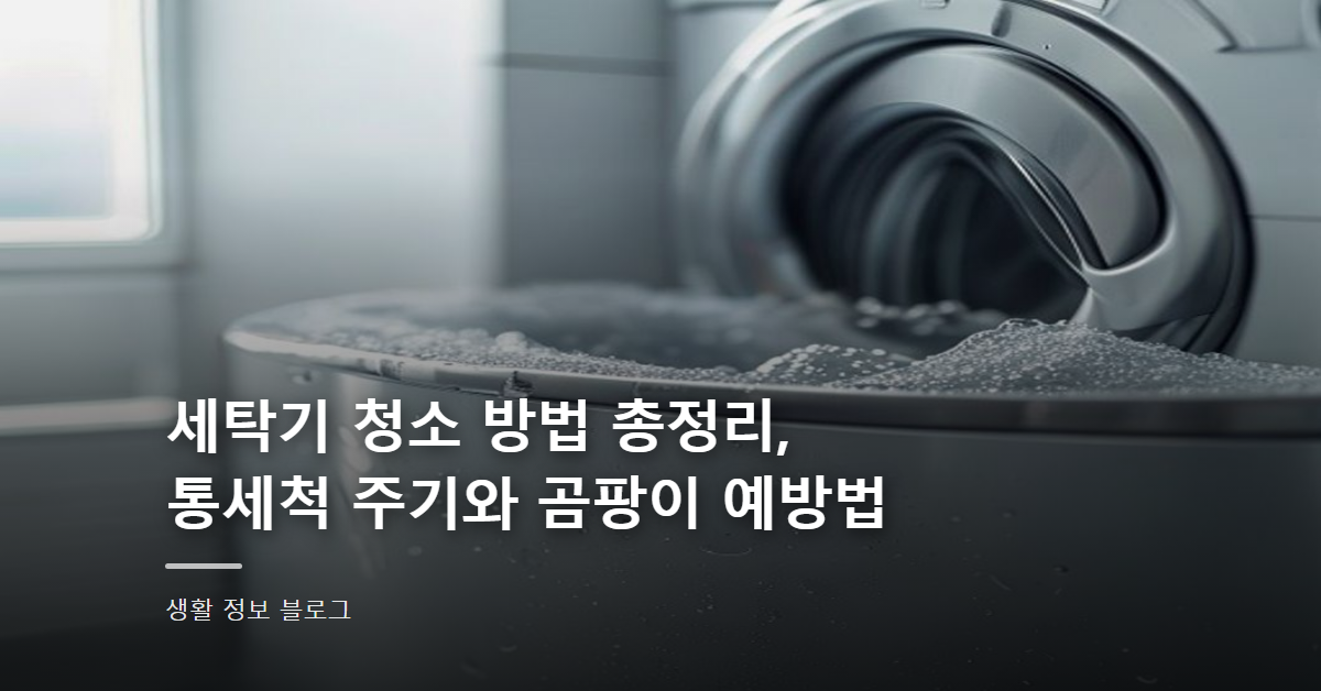 세탁기 청소 방법 총정리, 통세척 주기와 곰팡이 예방법