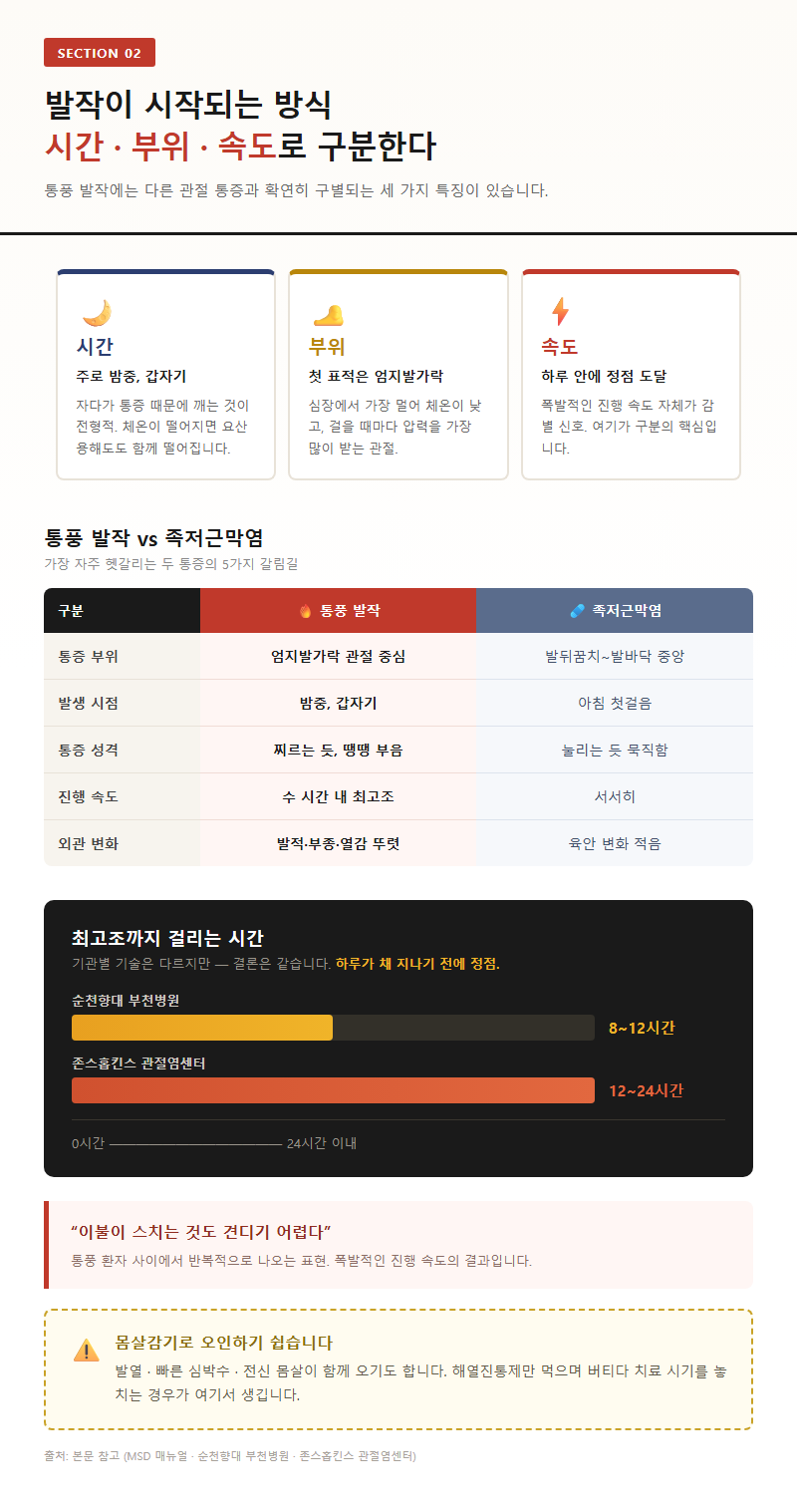 2. 발작이 시작되는 방식: 시간대·부위·속도로 구분한다
