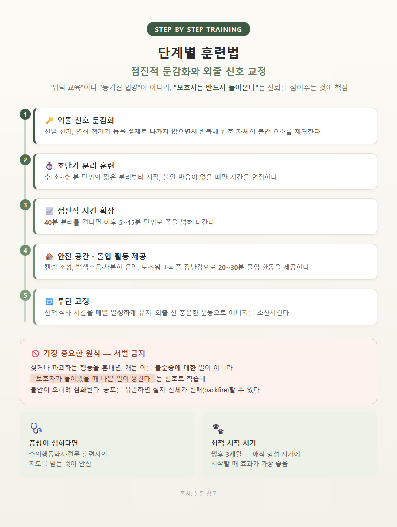 3. 단계별 훈련법: 점진적 둔감화와 외출 신호 교정