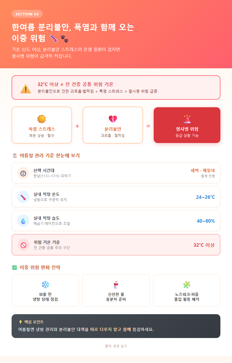 4. 한여름 분리불안, 폭염과 함께 오는 이중 위험