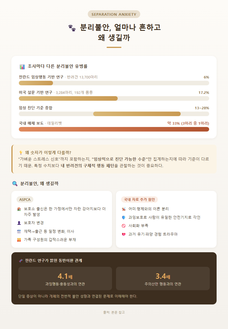 1. 분리불안, 얼마나 흔하고 왜 생길까