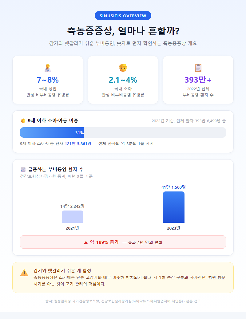축농증증상 개요