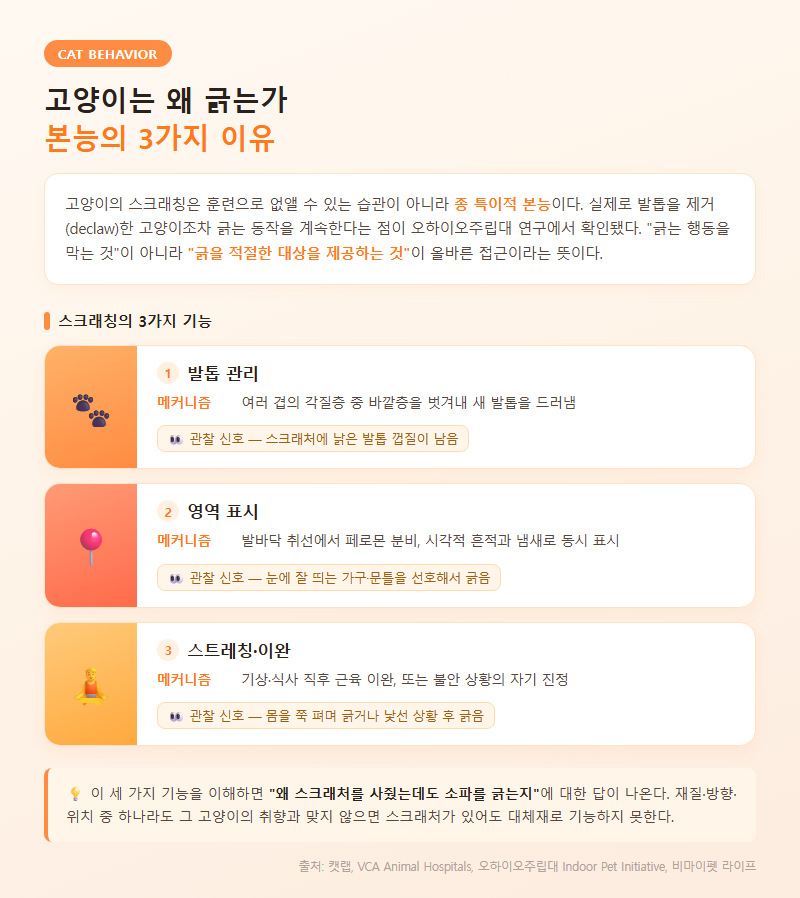 1. 고양이는 왜 긁는가 — 본능의 3가지 이유