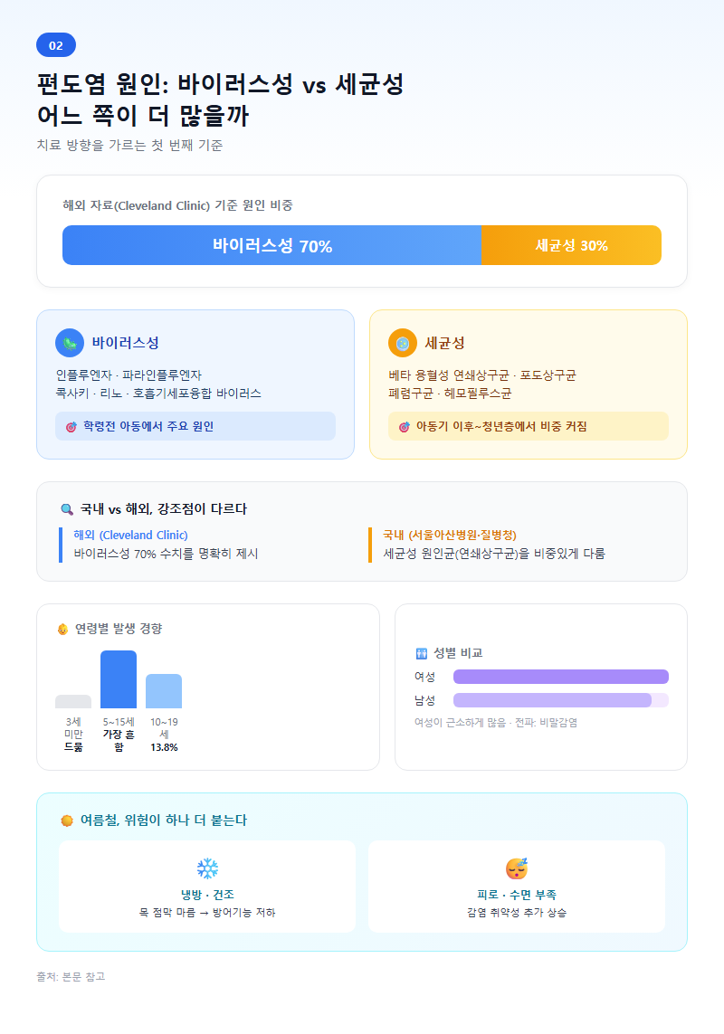 2. 편도염 원인: 바이러스성 vs 세균성, 어느 쪽이 더 많을까