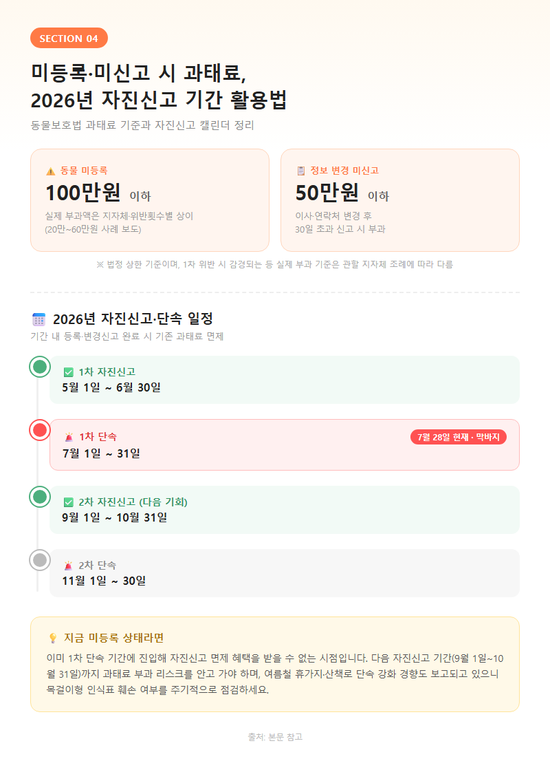 4. 미등록·미신고 시 과태료, 2026년 자진신고 기간 활용법