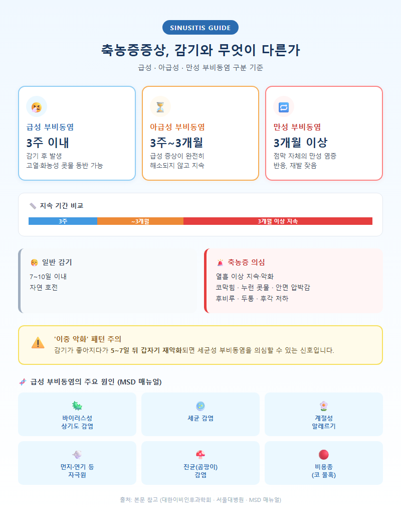 1. 축농증증상, 감기와 무엇이 다른가 — 급성·아급성·만성 구분
