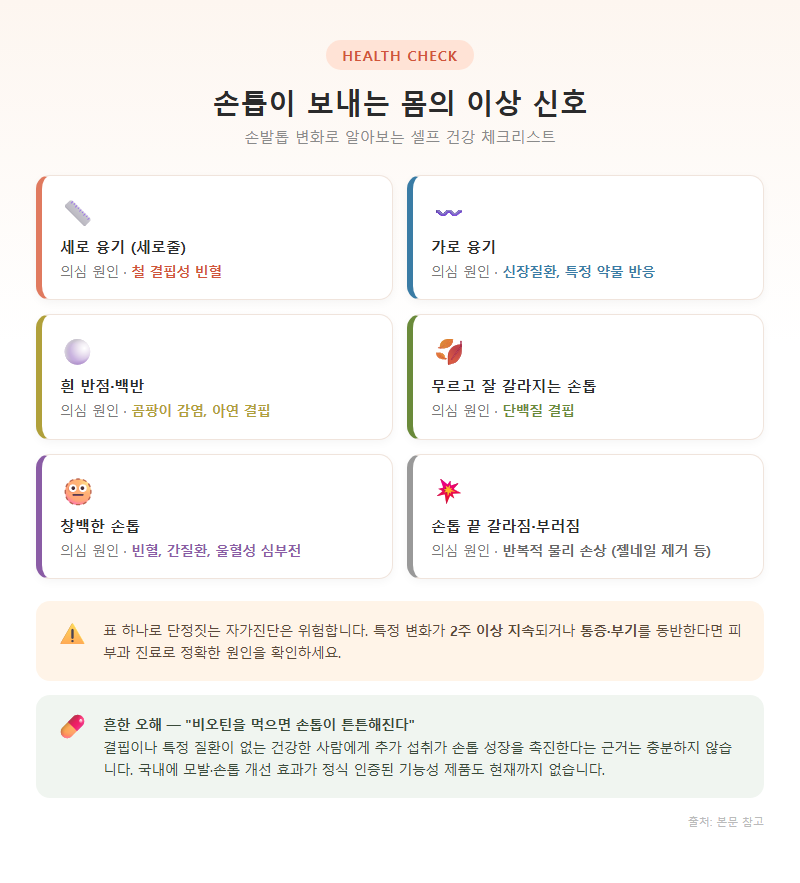 2. 손톱이 보내는 몸의 이상 신호 자가진단