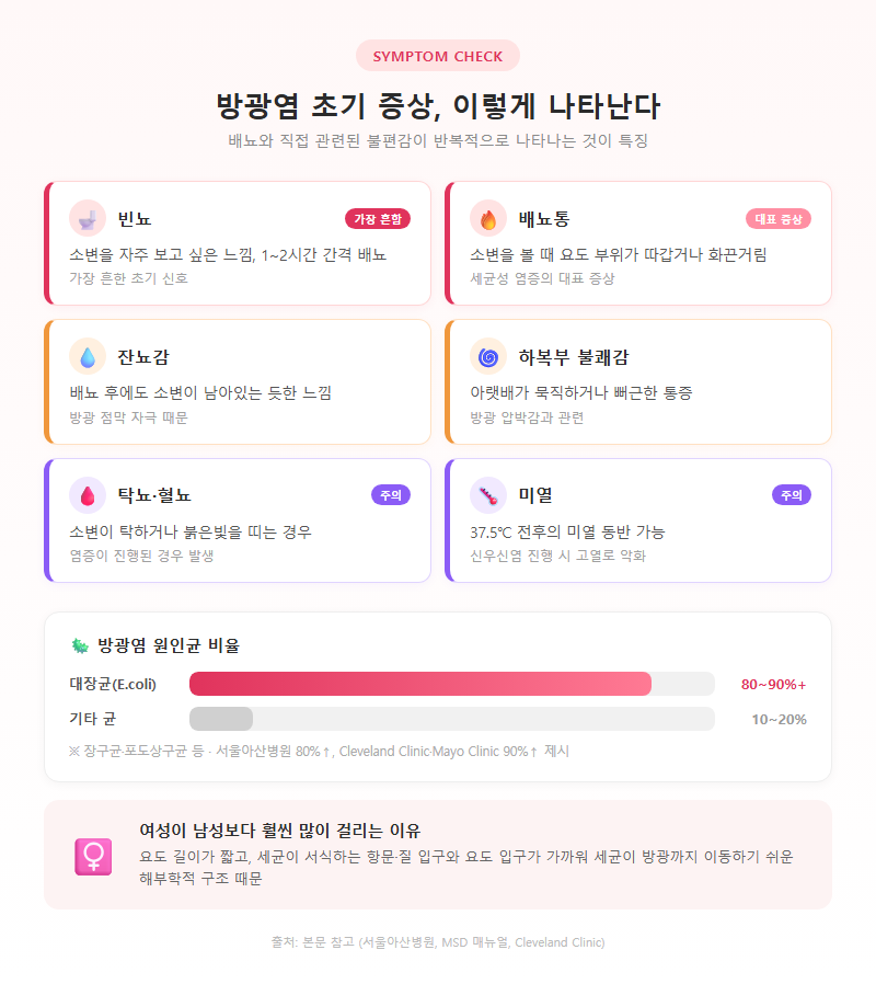 1. 방광염 초기 증상, 이렇게 나타난다