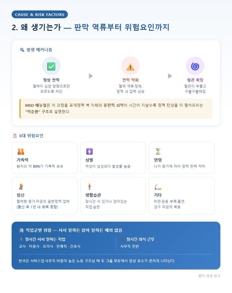 2. 왜 생기는가 — 판막 역류부터 위험요인까지