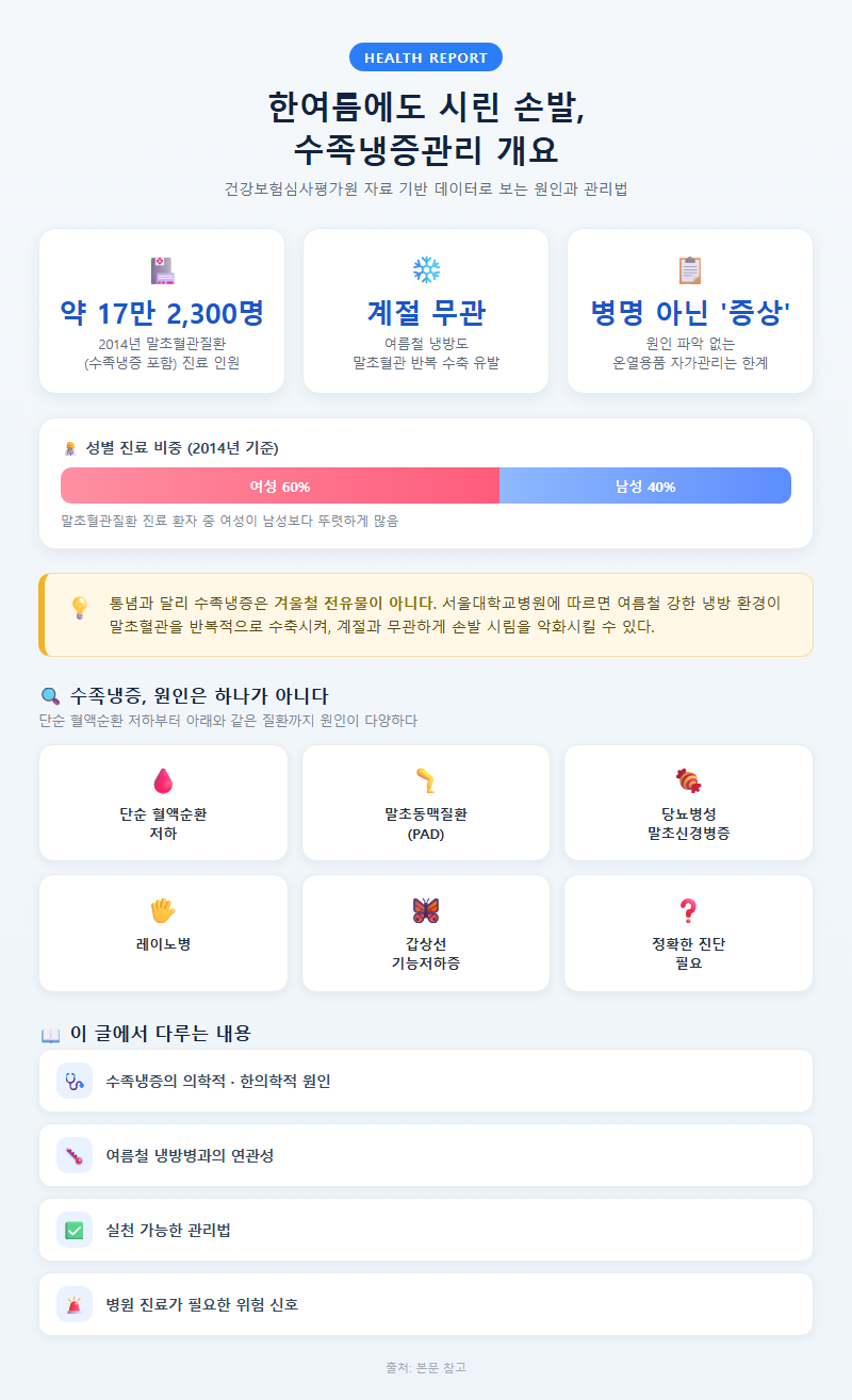 수족냉증관리 개요