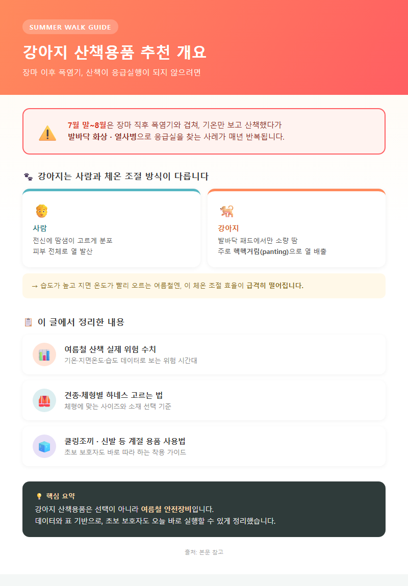 강아지산책용품추천 개요
