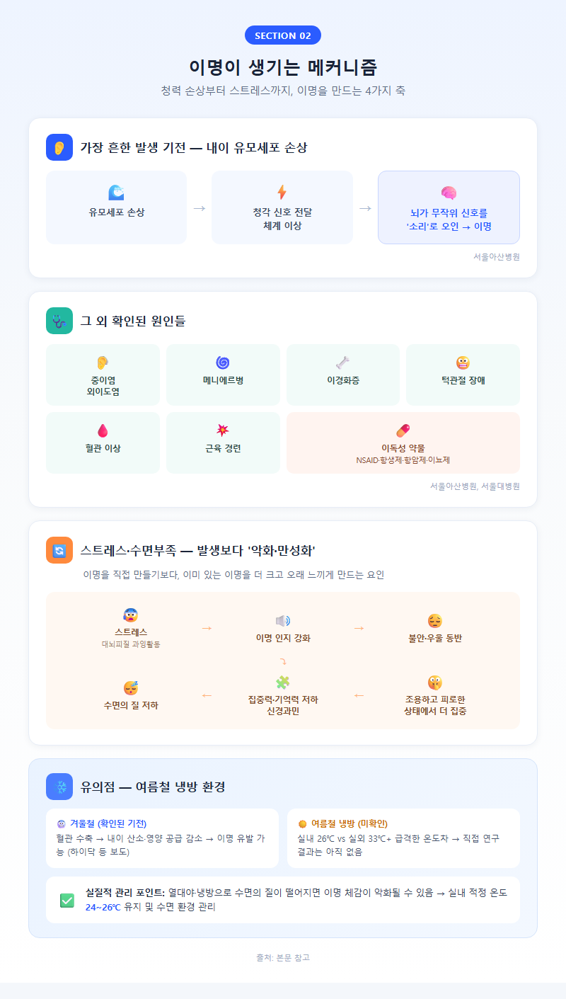 2. 이명이 생기는 메커니즘 — 청력 손상부터 스트레스까지