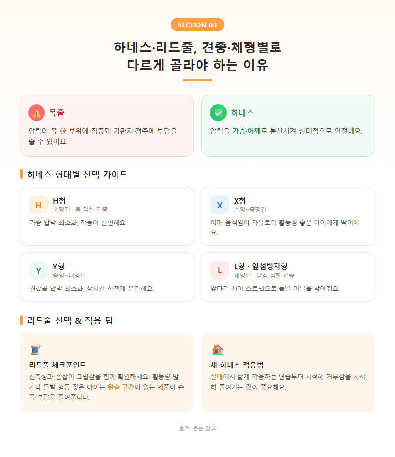 3. 하네스·리드줄, 견종·체형별로 다르게 골라야 하는 이유