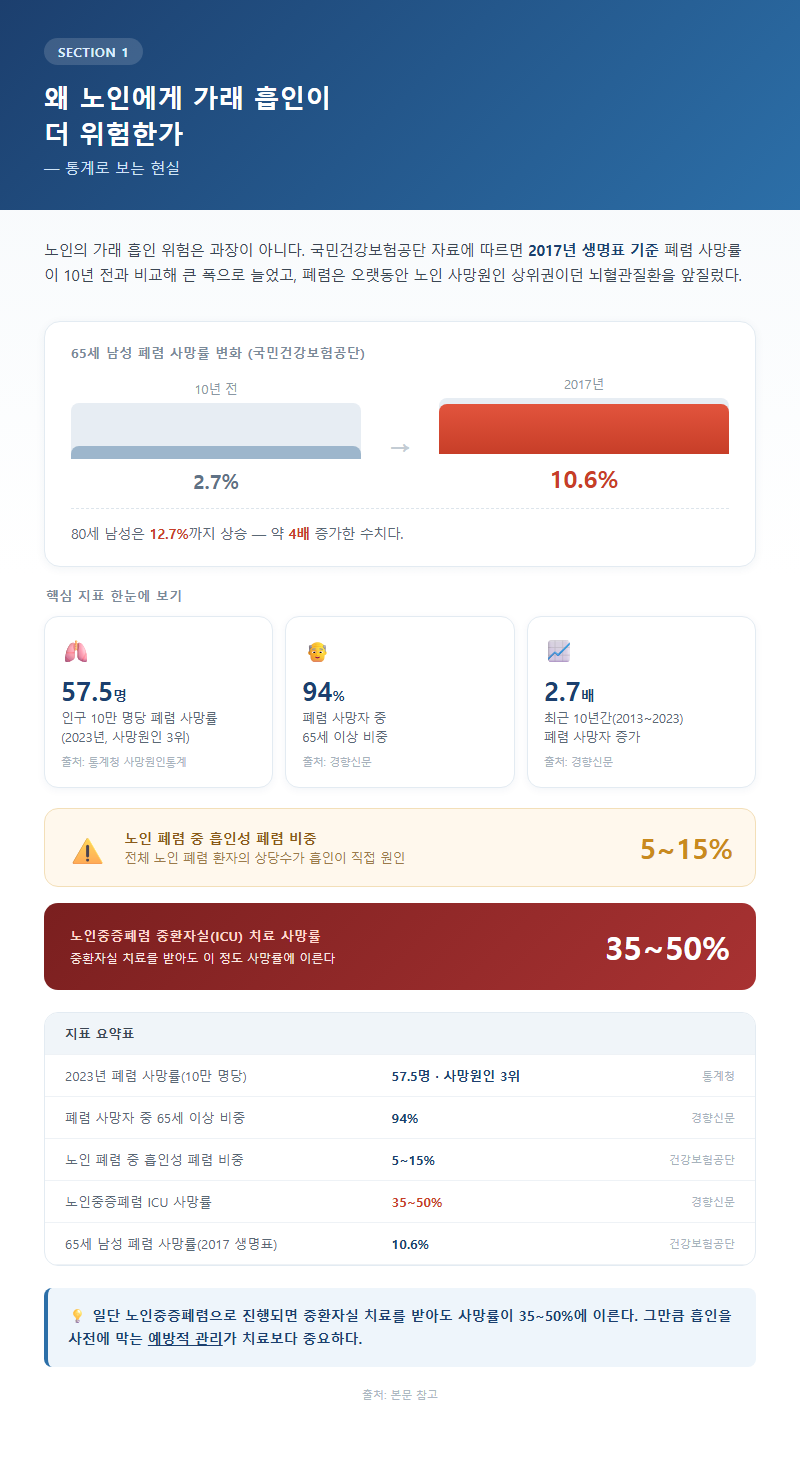 1. 왜 노인에게 가래 흡인이 더 위험한가 — 통계로 보는 현실