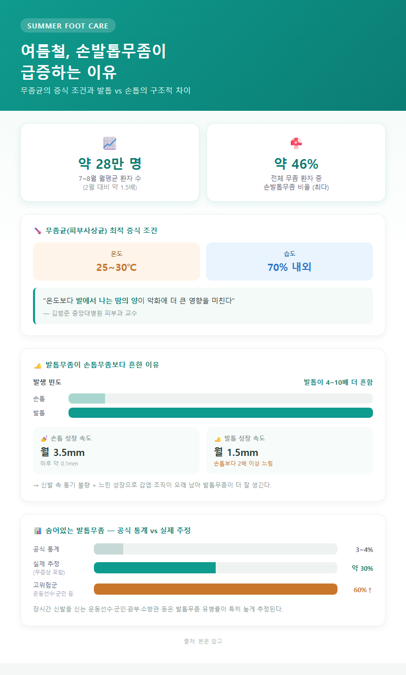 1. 여름철 손발톱무좀이 급증하는 이유