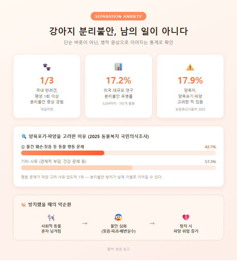 강아지분리불안대처법 개요
