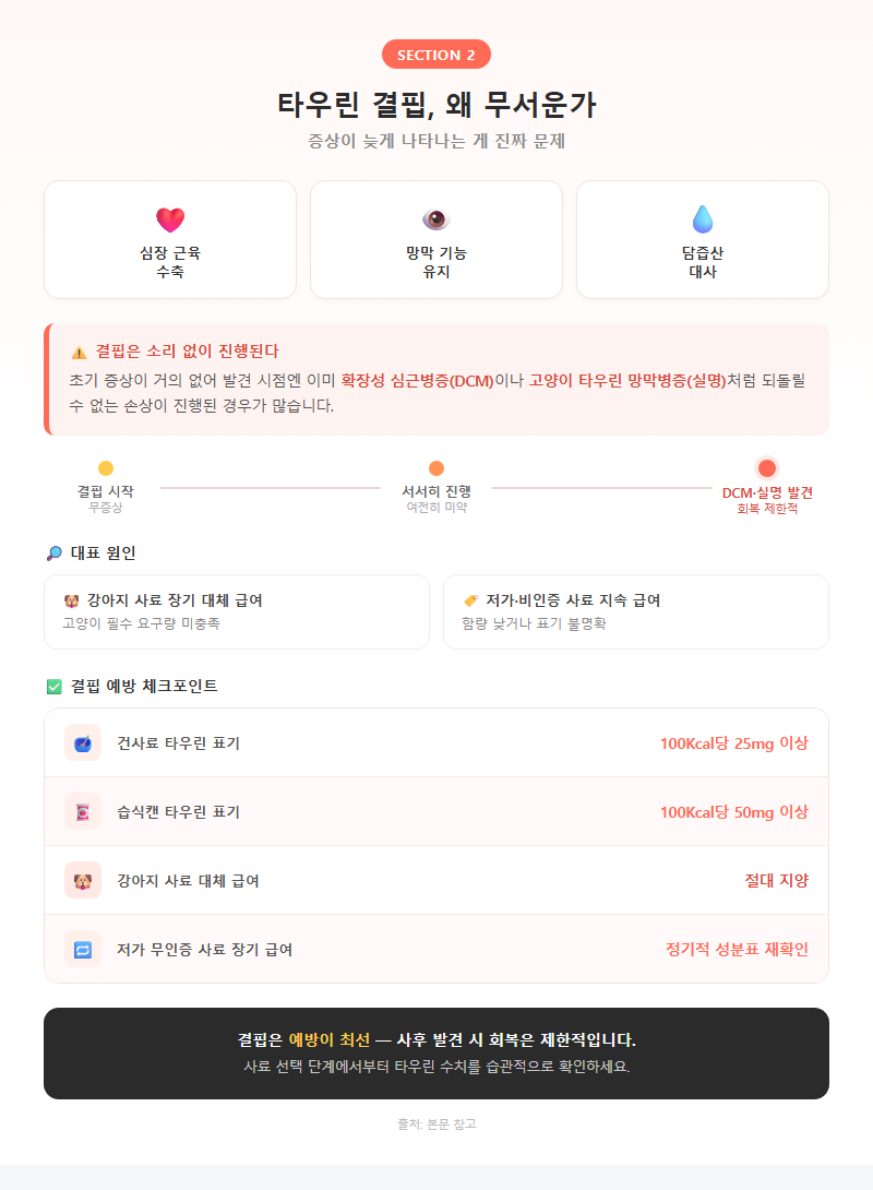 2. 타우린 결핍, 왜 무서운가 — 증상이 늦게 나타나는 게 진짜 문제