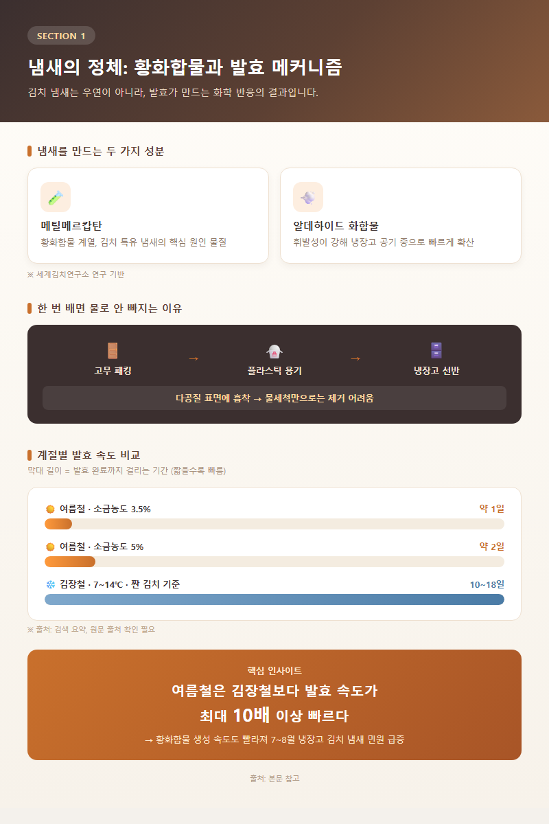 1. 냄새의 정체: 황화합물과 발효 메커니즘
