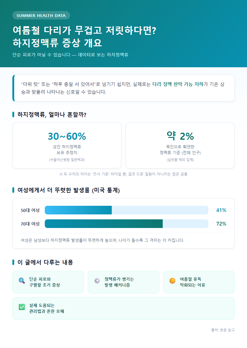 하지정맥류증상 개요
