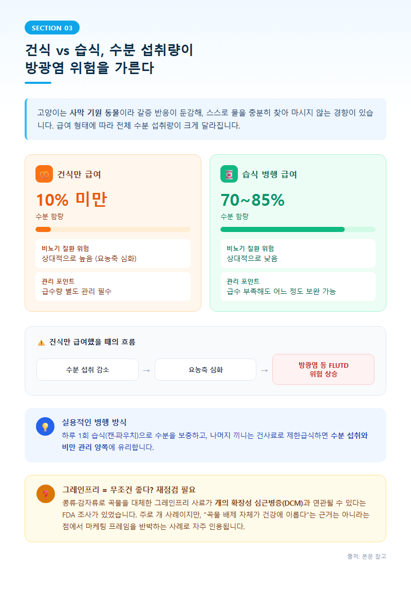 3. 건식 vs 습식, 수분 섭취량이 방광염 위험을 가른다