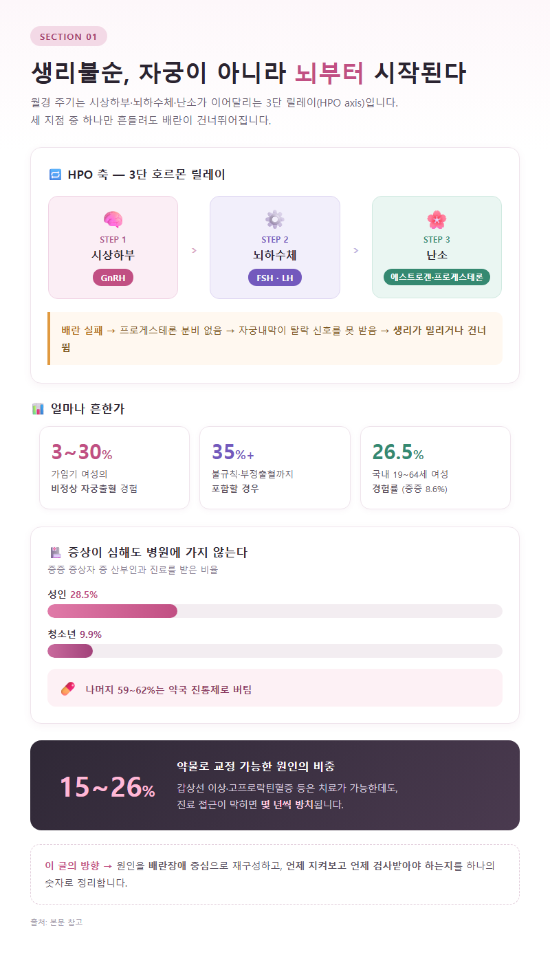 생리불순원인 개요