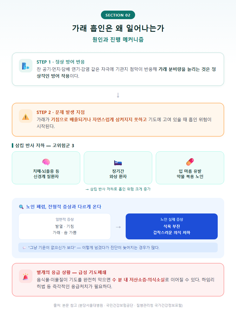 2. 가래 흡인은 왜 일어나는가 — 원인과 진행 메커니즘