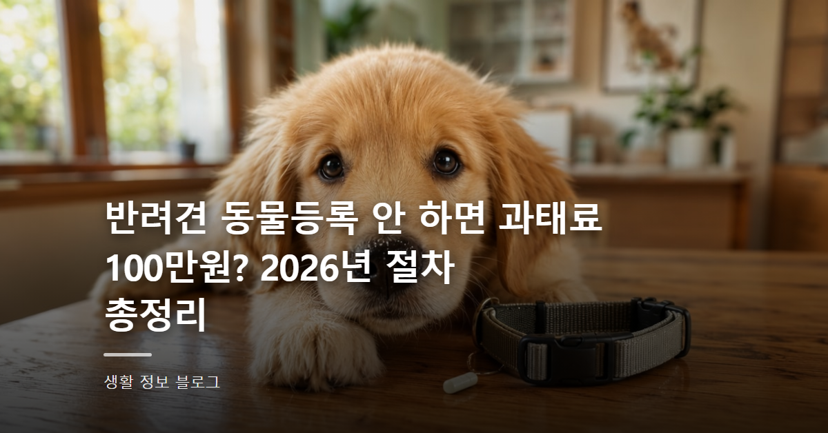 반려견 동물등록 안 하면 과태료 100만원? 2026년 절차 총정리