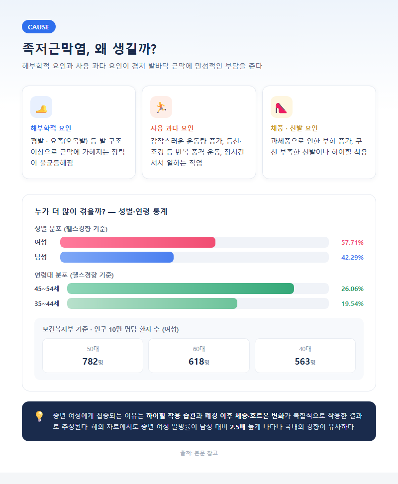 3. 원인 — 해부학적 요인과 사용 과다 요인