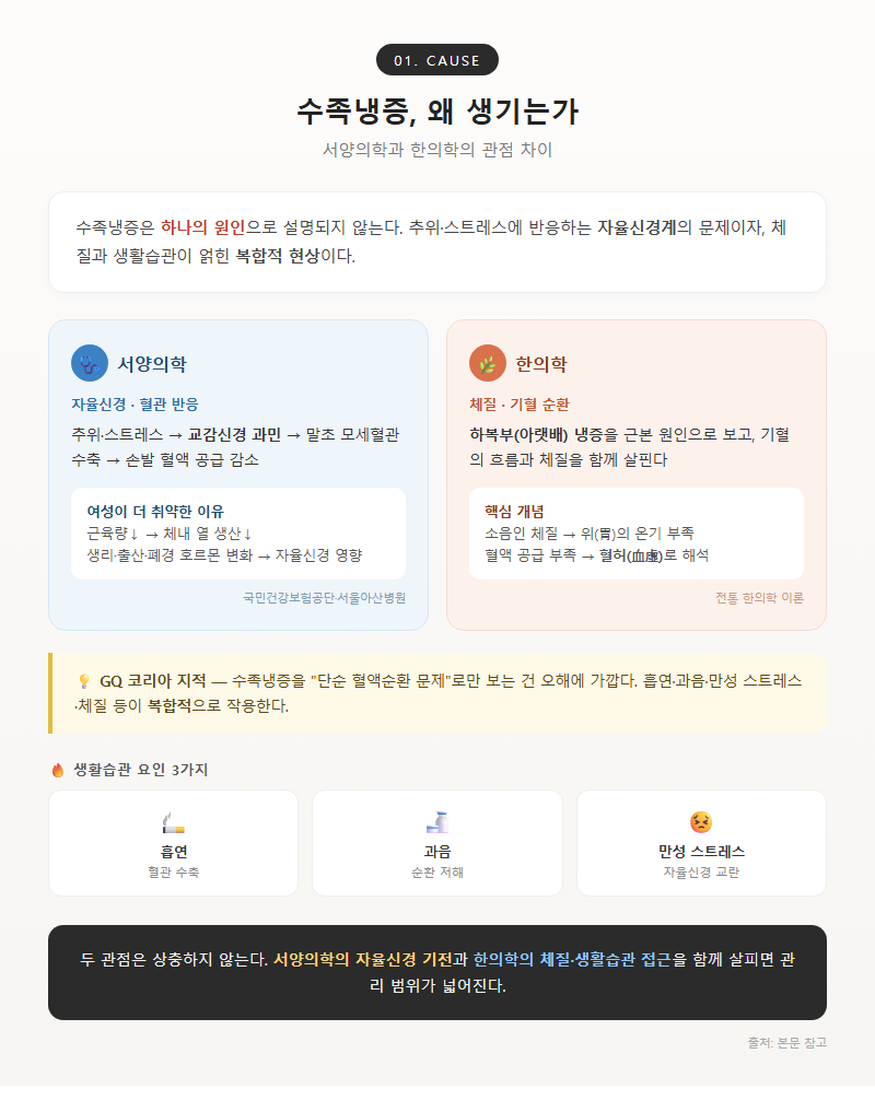 1. 수족냉증, 왜 생기는가 — 서양의학과 한의학의 관점 차이