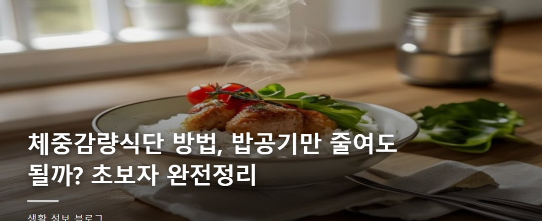 체중감량식단 방법, 밥공기만 줄여도 될까? 초보자 완전정리