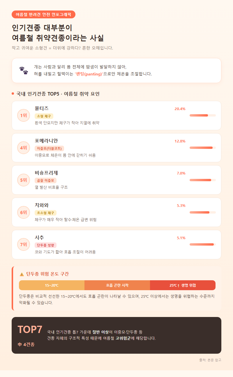 3. 인기견종 대부분이 여름철 취약견종이라는 사실