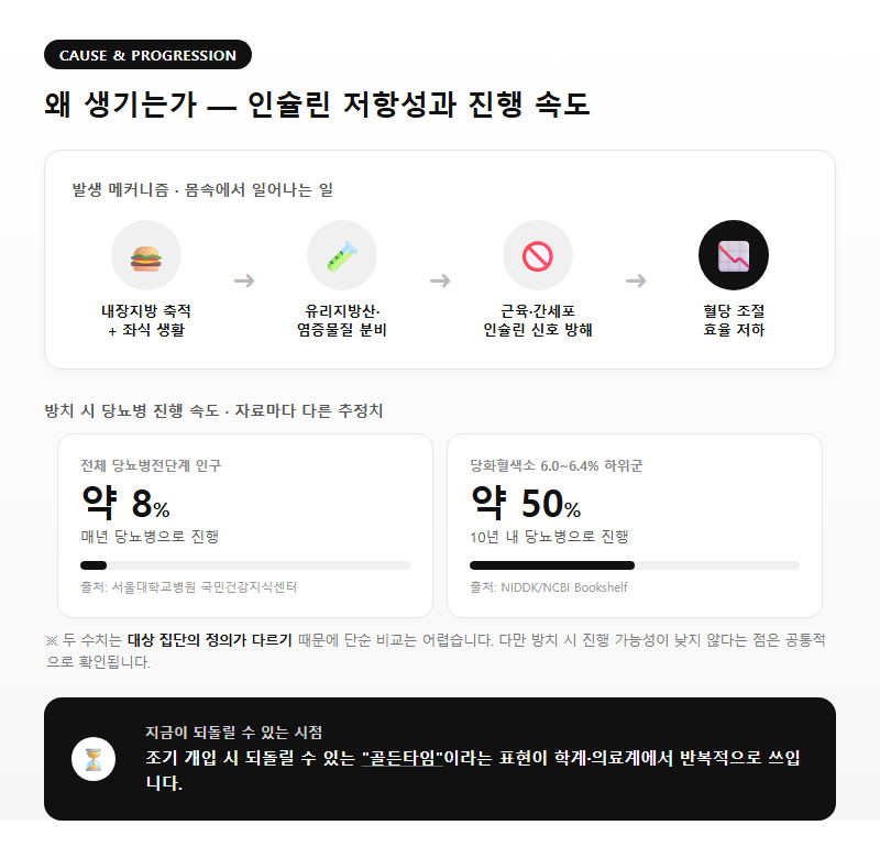 2. 왜 생기는가 — 인슐린 저항성과 진행 속도
