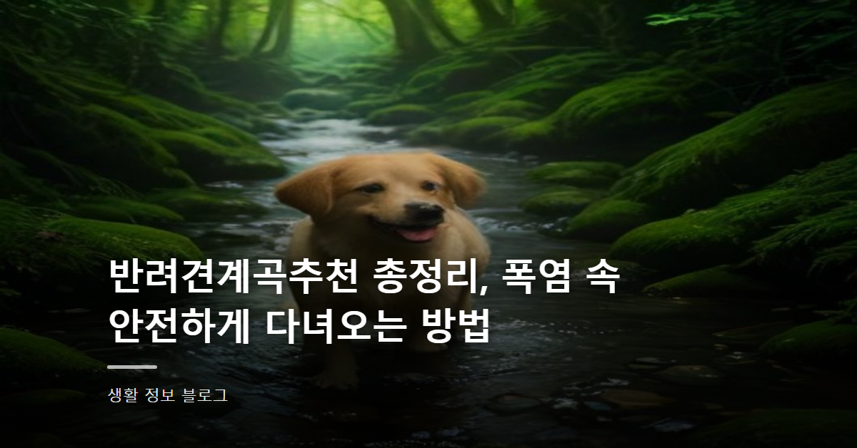 반려견계곡추천 총정리, 폭염 속 안전하게 다녀오는 방법