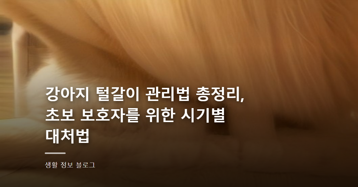 강아지 털갈이 관리법 총정리, 초보 보호자를 위한 시기별 대처법