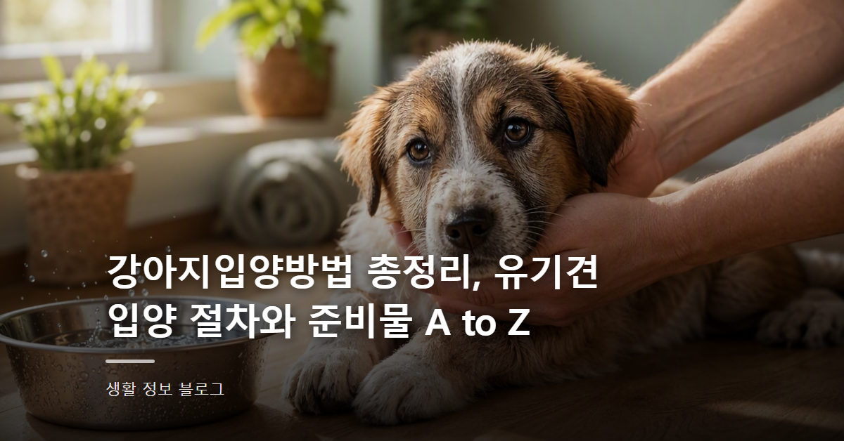 강아지입양방법 총정리, 유기견 입양 절차와 준비물 A to Z