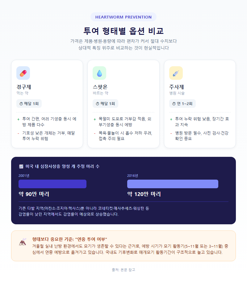 옵션·유형별 비교