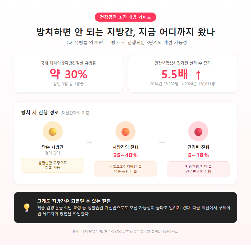 지방간개선방법 개요
