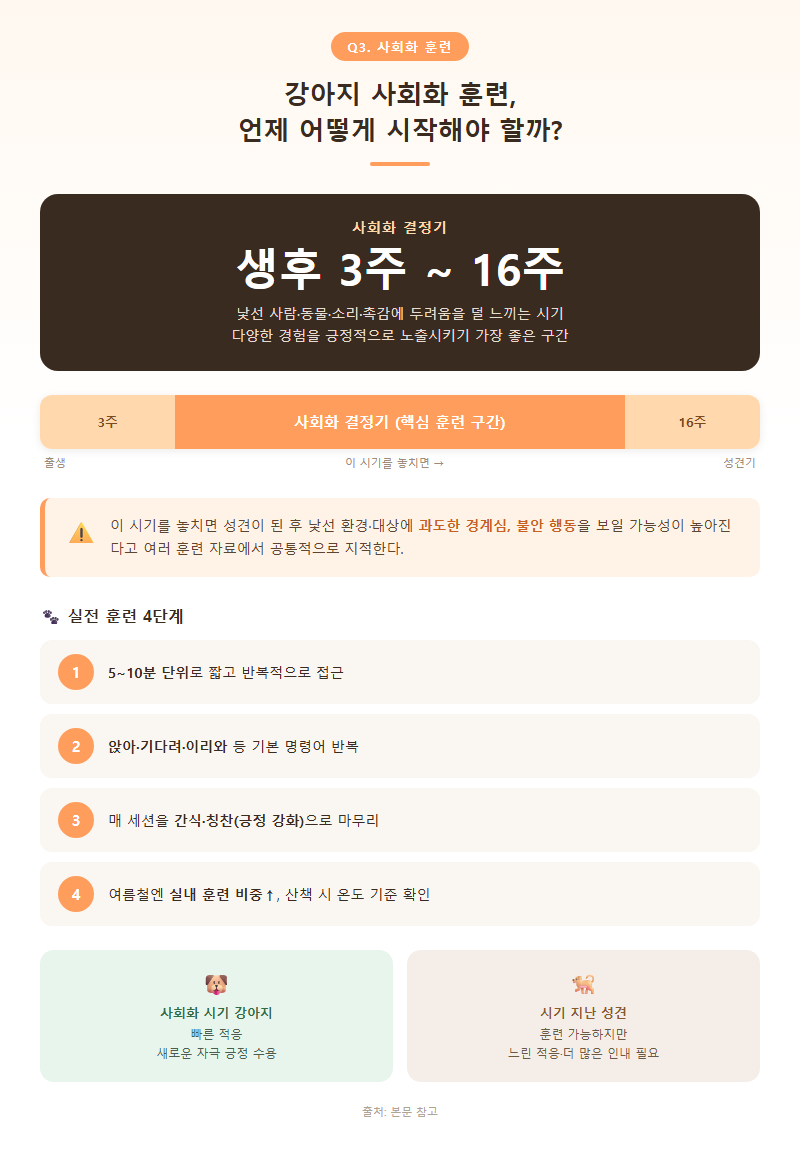 Q3. 강아지 사회화 훈련은 언제, 어떻게 시작해야 효과적인가요?