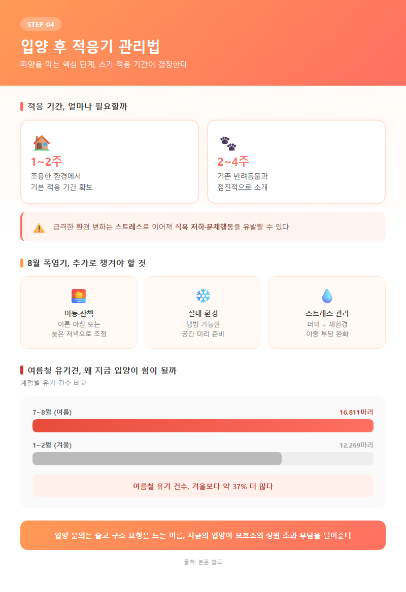 4. 입양 후 적응기 관리법