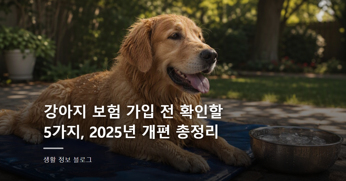 강아지 보험 가입 전 확인할 5가지, 2025년 개편 총정리