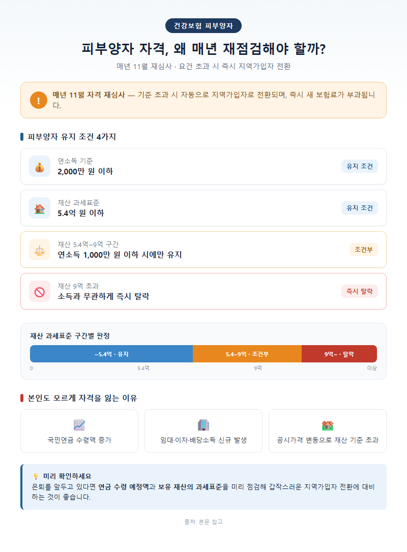 3. 피부양자 자격, 매년 재점검이 필요한 이유
