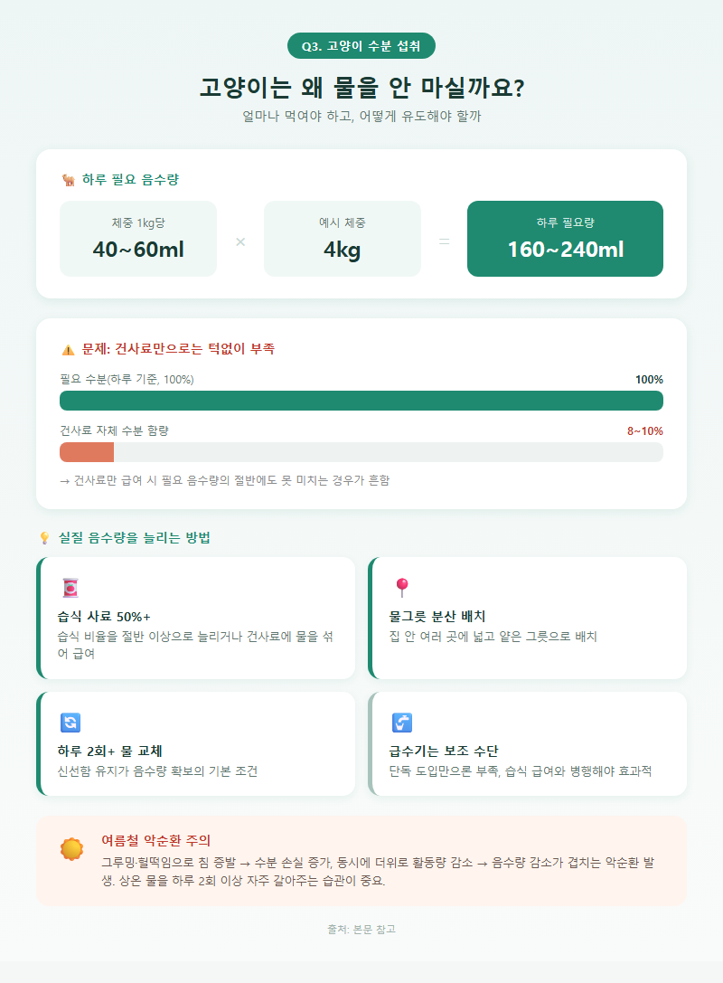 Q3. 고양이가 물을 잘 안 마시는데, 얼마나 먹여야 하고 어떻게 유도하나요?