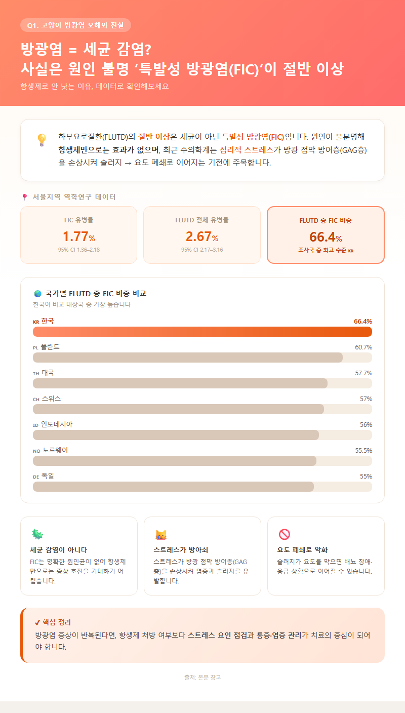 Q1. 고양이 방광염은 왜 생기나요? 세균 감염 때문 아닌가요?