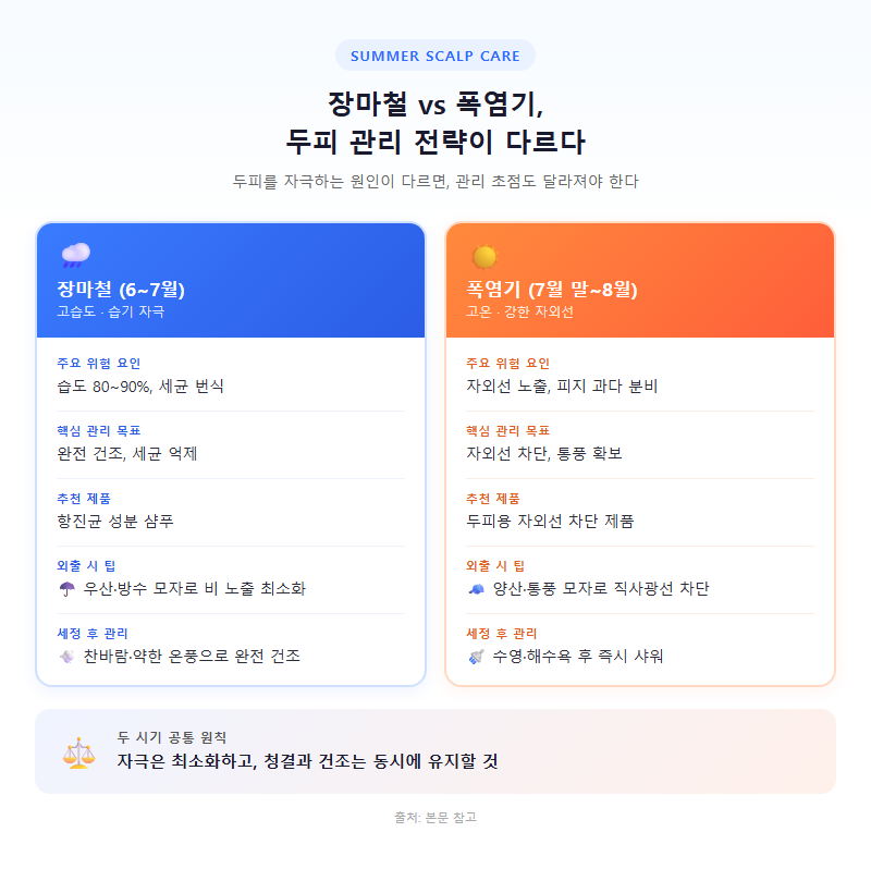 2. 장마철 vs 폭염기, 두피 관리 전략이 다르다
