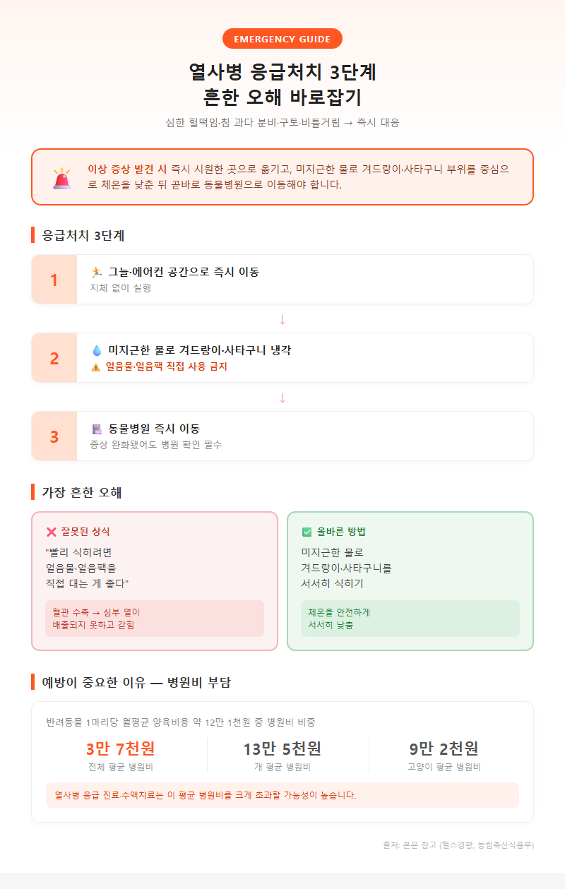 3. 열사병 응급처치 단계와 흔한 오해 바로잡기