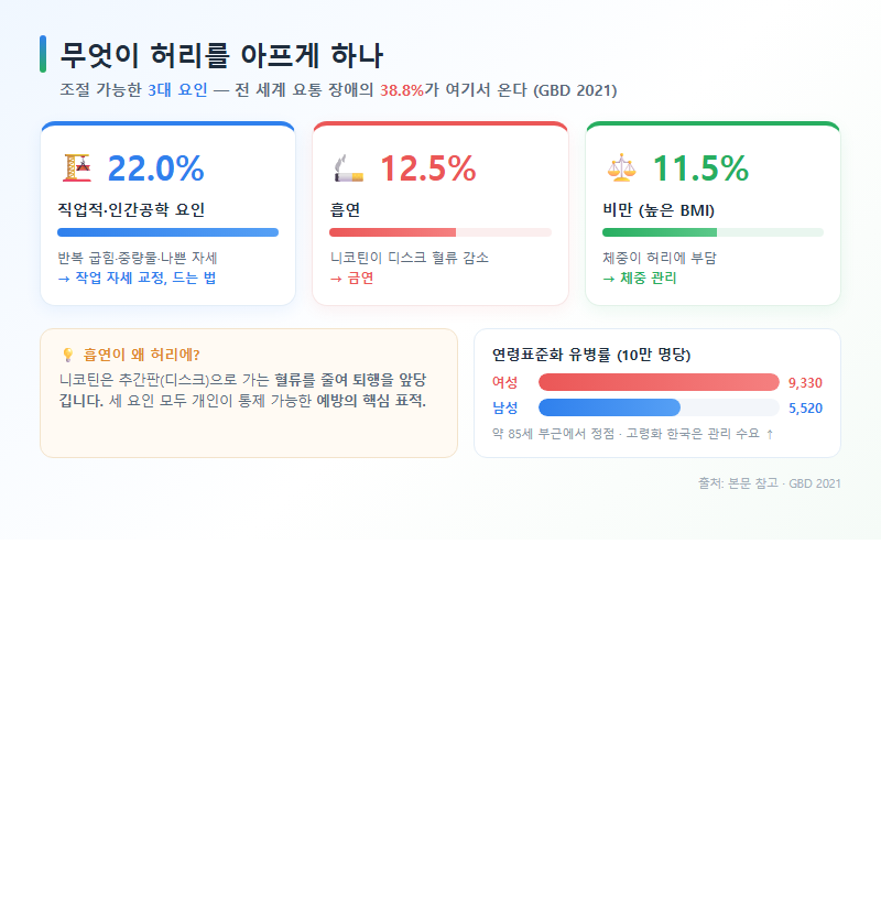 2. 무엇이 허리를 아프게 하나: 조절 가능한 3대 요인